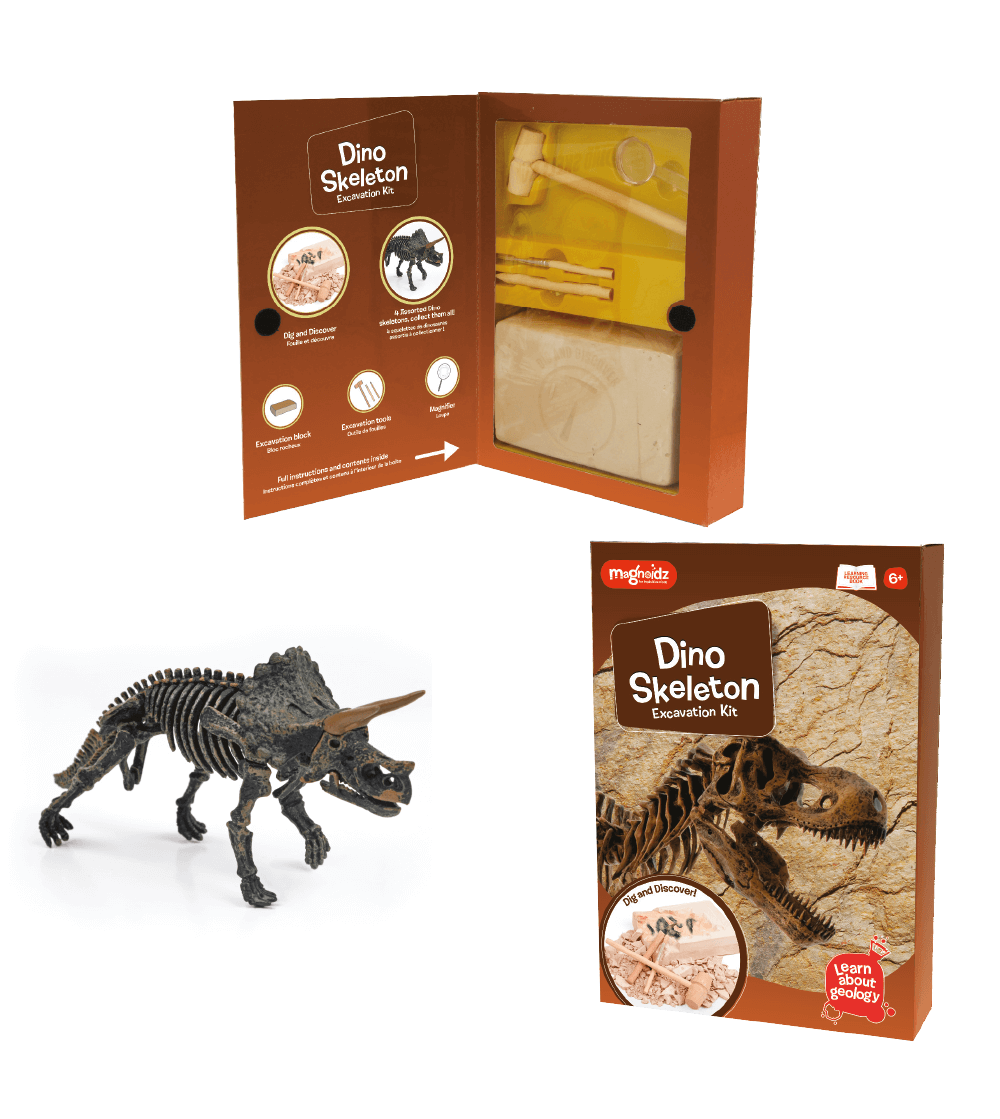 Kit excavare Keycraft - Dinozaur - Mediu înconjurător