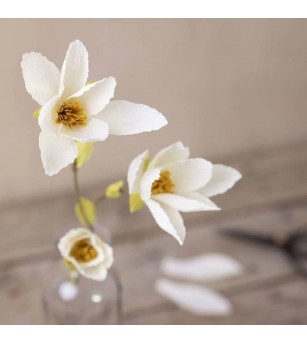 Mini kit creativ cu hartie creponata - magnolii - Seturi cu hârtie și quilling
