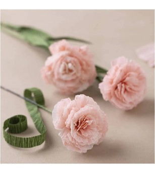 Mini kit creativ cu hartie creponata - Garoafe - Seturi cu hârtie și quilling