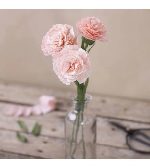 Mini kit creativ cu hartie creponata - Garoafe - Seturi cu hârtie și quilling