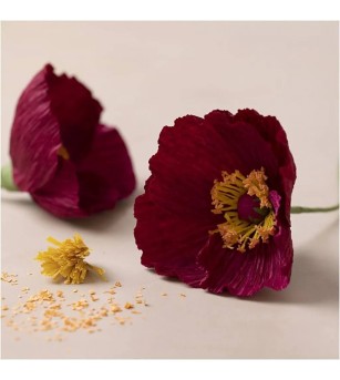 Mini kit creativ cu hartie creponata - maci - Seturi cu hârtie și quilling