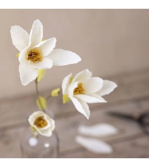 Set hartie creponata - 8 culori natur - Seturi cu hârtie și quilling