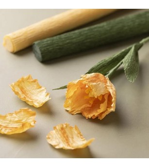 Kit creativ cu hartie creponata - buchet de flori de primavara - Seturi cu hârtie și quilling