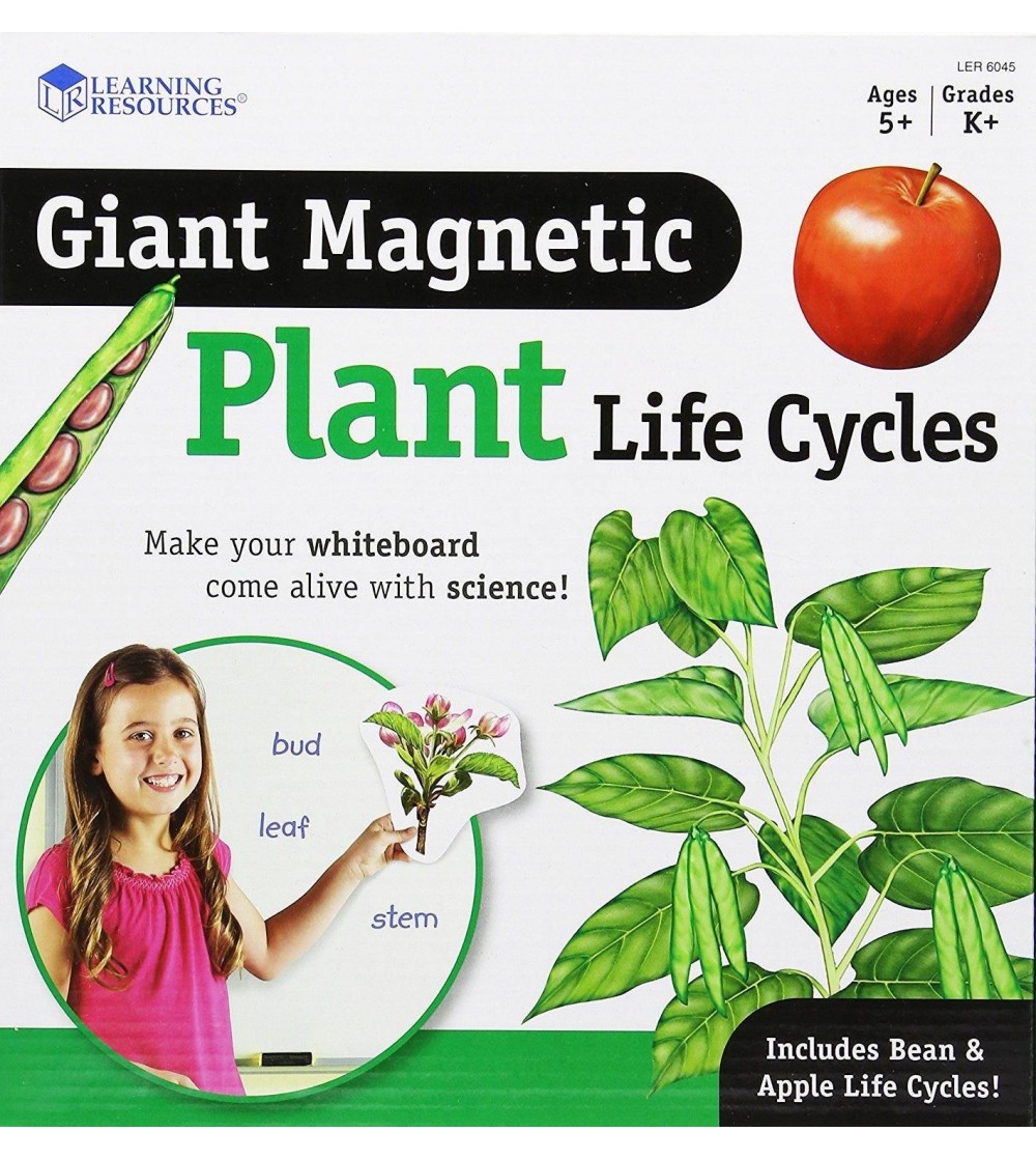 Ciclul vietii plantei - set magnetic - Mediu înconjurător Ciclul vietii plantei - set magnetic - Mediu înconjurător