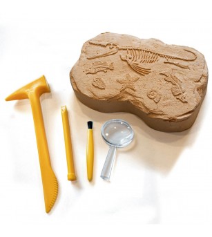 GeoSafari - Kit excavare fosile - Mediu înconjurător