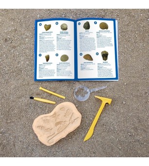 GeoSafari - Kit excavare fosile - Mediu înconjurător