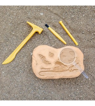 GeoSafari - Kit excavare fosile - Mediu înconjurător