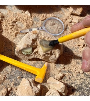 GeoSafari - Kit excavare fosile - Mediu înconjurător