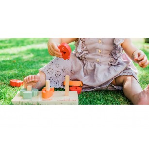 Joc sortator si de numarat, Orange Tree Toys - Jucării de lemn si Montessori