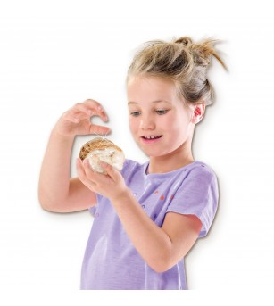 Set creativ - Deschide Geode - Mediu înconjurător