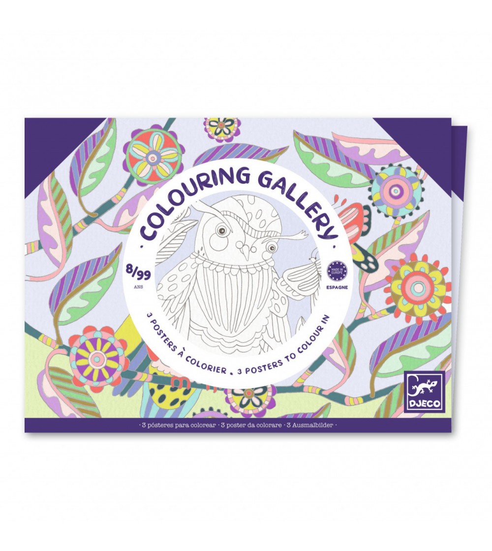 Mapa cu 3 postere de colorat Pasari, Djeco - Seturi de pictura și desenat