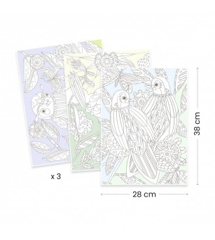 Mapa cu 3 postere de colorat Pasari, Djeco - Seturi de pictura și desenat