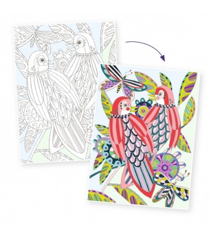 Mapa cu 3 postere de colorat Pasari, Djeco - Seturi de pictura și desenat