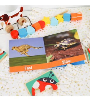 Set jucarii educative Montessori 19 - 24 luni - Jucării de lemn si Montessori