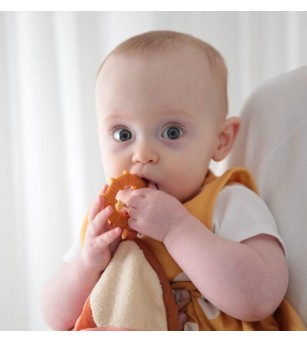 Set jucărie doudou și lanț suzetă pentru bebeluși Dolce - Fiona și Ollie - Jucării bebeluși