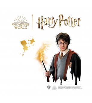 Harry Potter - Set creativ mulaj si pictura - Seturi de pictura și desenat