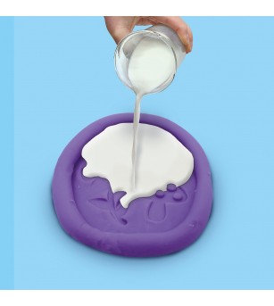 Set creativ copii - mulaj si pictura - Relief botanic inspirat din natură - Seturi creative DIY