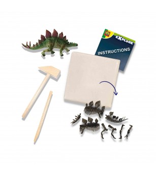 Set creativ Dino si excavarea scheletului 2 in 1 - Stegozaur - Mediu înconjurător
