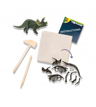 Set creativ Dino si excavarea scheletului 2 in 1 - Triceratops - Mediu înconjurător