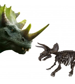 Set creativ Dino si excavarea scheletului 2 in 1 - Triceratops - Mediu înconjurător