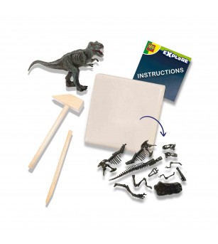 Set creativ Dino si excavarea scheletului 2 in 1 - T-rex - Mediu înconjurător