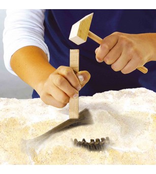 Set creativ Dino si excavarea scheletului 2 in 1 - T-rex - Mediu înconjurător