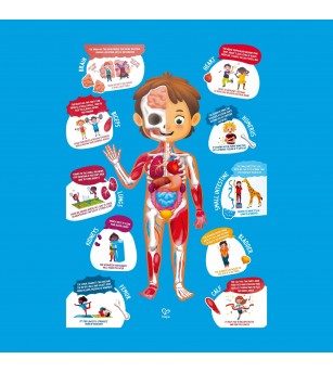 Puzzle pentru copii - Corpul Uman (61 piese) - Puzzle copii