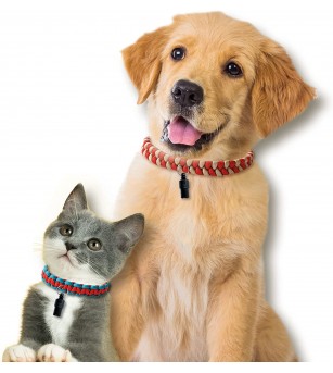 Set creativ - Zgarde animale - Seturi creative DIY