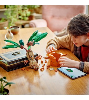 LEGO Harry Potter: Matraguna - 76433, 579 piese, 10 + ani - LEGO Harry Potter