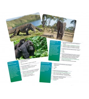Joc Interactiv Lumea Animalelor In Limba Romana - Jocuri de masă