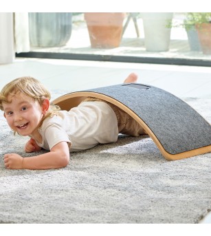 Placa de echilibru inteligenta - Plăci de echilibru