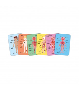Puzzle magnetic corpul uman (68 piese) - Puzzle copii
