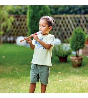 Jucarie din lemn - Flaut - Set instrumente muzicale