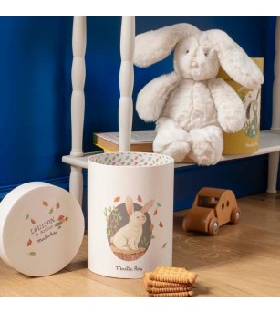 Iepuras Luison in cutie, Moulin Roty - Jucării bebeluși