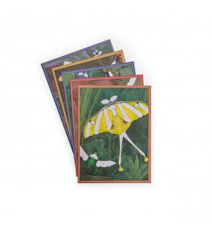 Joc creativ Planse fantastice Insecte si animale, Moulin Roty - Planșe de răzuit