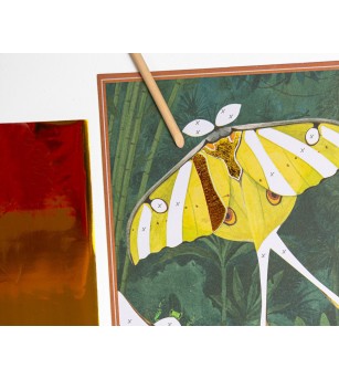 Joc creativ Planse fantastice Insecte si animale, Moulin Roty - Planșe de răzuit