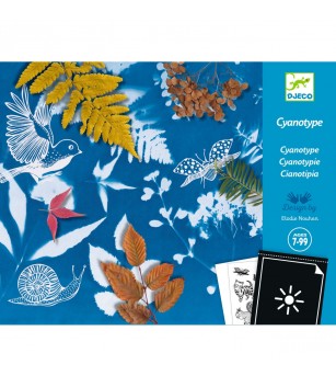 Atelier de creatie Cianotip, Djeco - Seturi cu hârtie și quilling