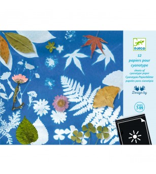 Hartie cianotip, Djeco - Art and crafts