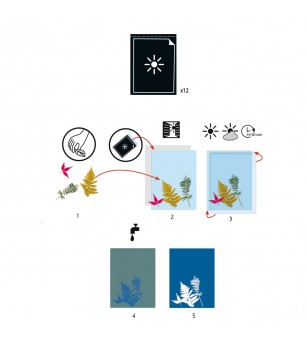 Hartie cianotip, Djeco - Art and crafts