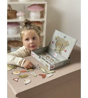 Joc magnetic Expresii, Egmont Toys - Jucarii magnetice