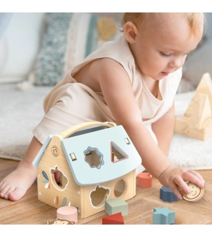 Casuta sortatoare cu forme, Speedy Monkey - Jucării bebeluși