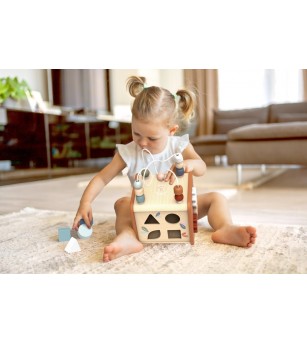 Cub educativ 5‑in‑1, Speedy Monkey - Jucării de lemn si Montessori