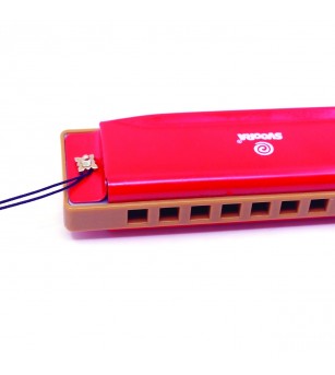 Instrument muzical Muzicuta, Svoora - Alte instrumente muzicale