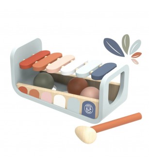 Instrument muzical si joc tap-tap, Speedy Monkey - Alte instrumente muzicale