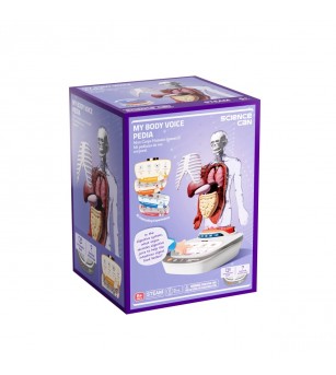 Joc STEM Anatomia umana, TopBright - Corpul uman