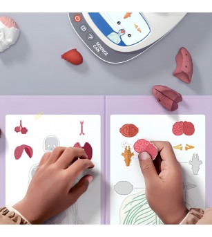 Joc STEM Anatomia umana, TopBright - Corpul uman