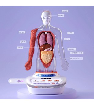 Joc STEM Anatomia umana, TopBright - Corpul uman