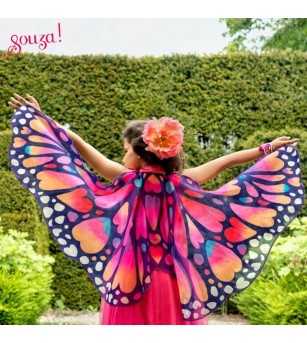 Aripi de fluture, Souza! - Costume de carnaval