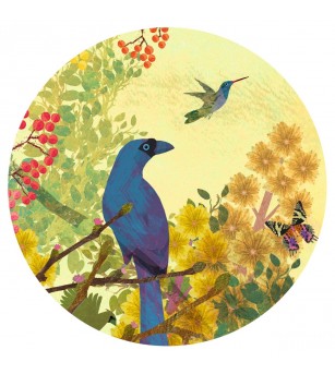 Puzzle galerie Paradis tropical , Djeco - Puzzle copii