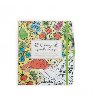Carte de colorat reutilizabila, Moulin Roty - Set papetarie si jurnale copii